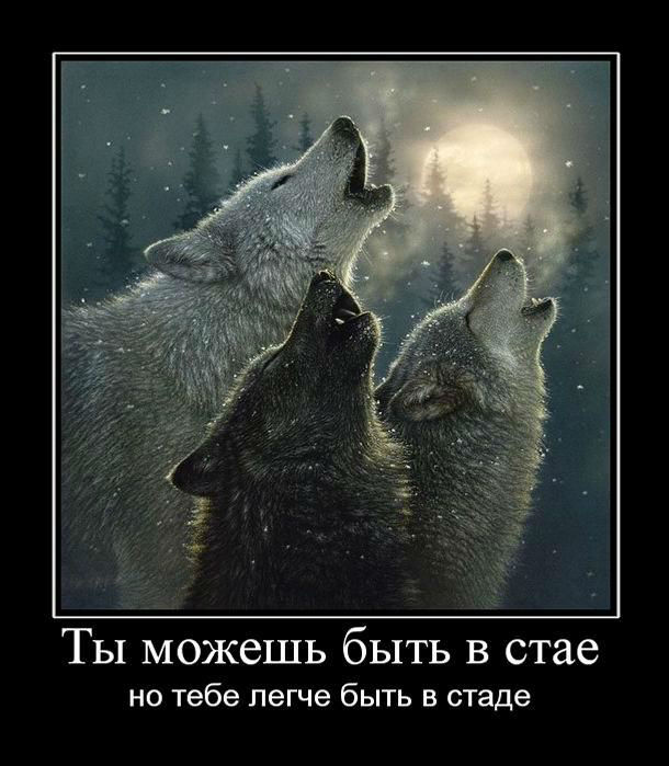 Ты можешь быть...