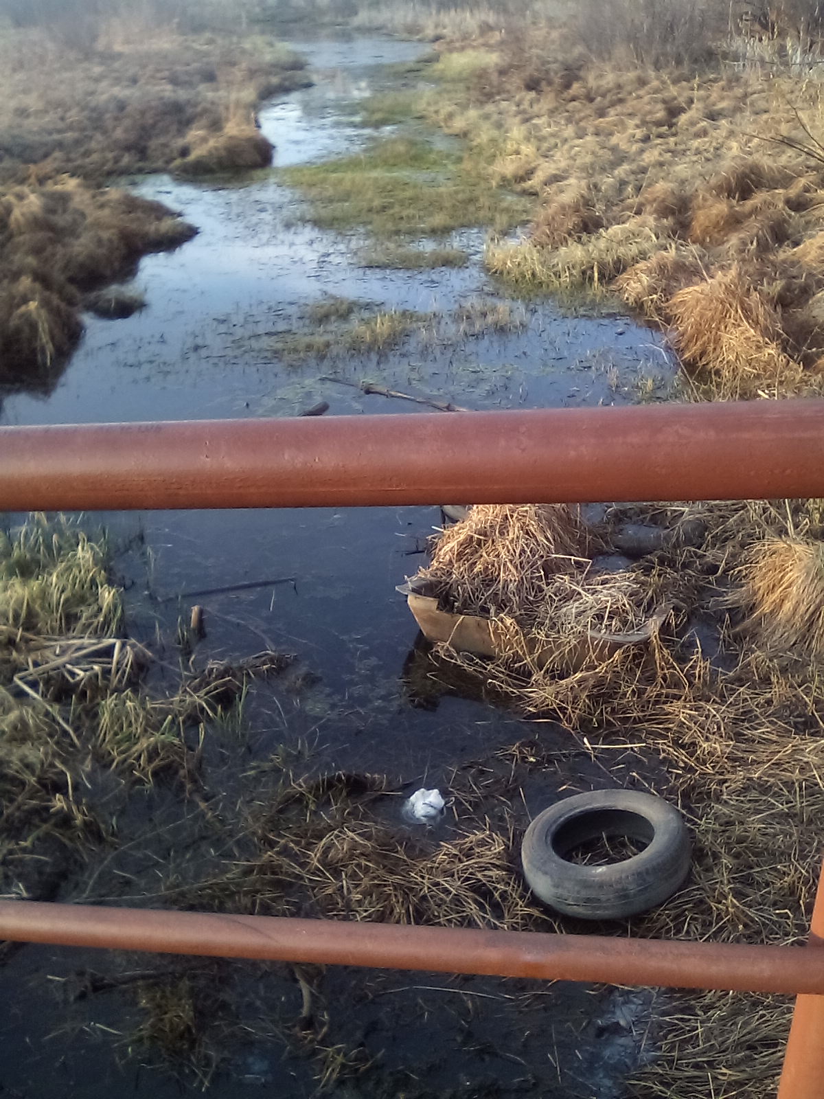 Бобры здесь не живут!!!(новый спуск к китою)