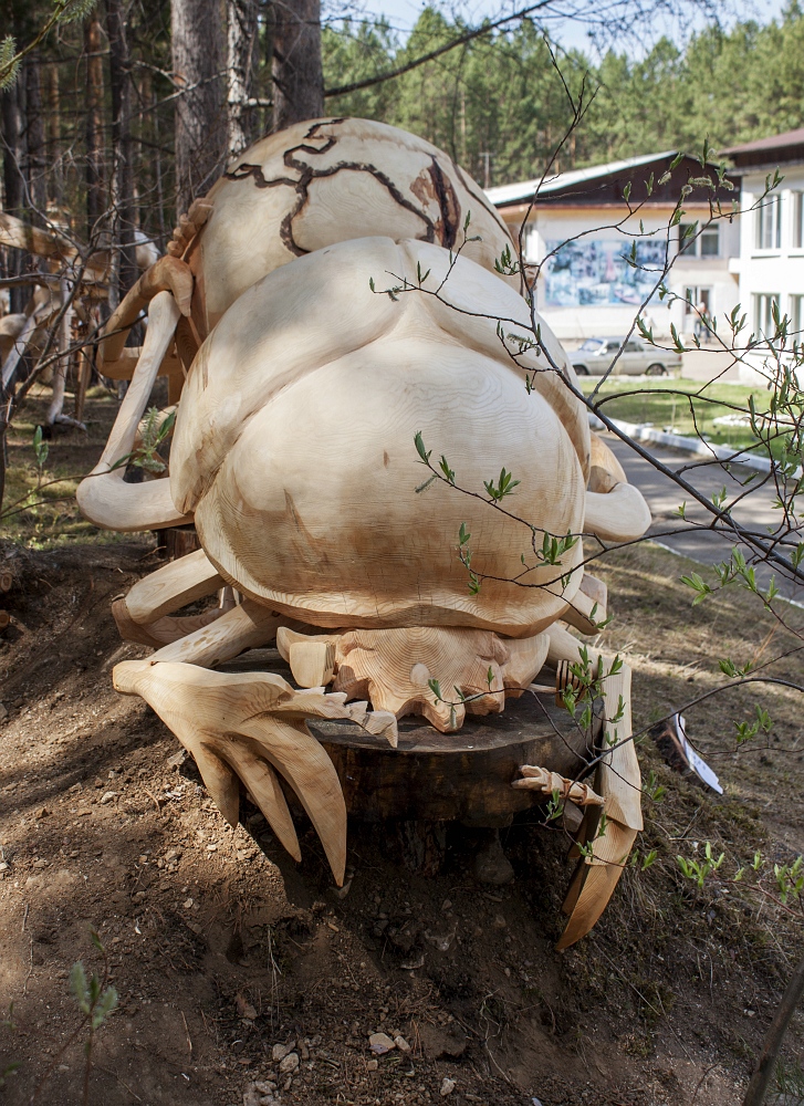 Пятое место "Лукоморья"