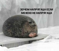 нинада нопрягаца)))))