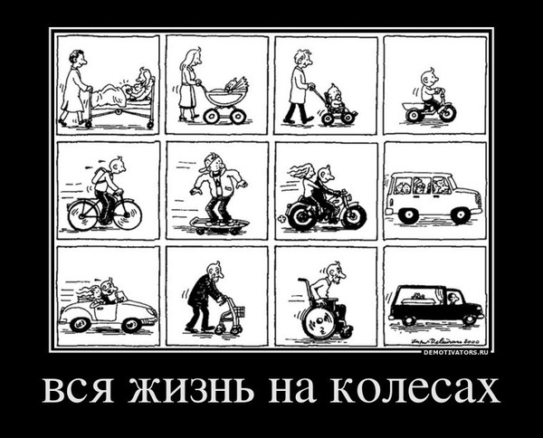 Жизнь