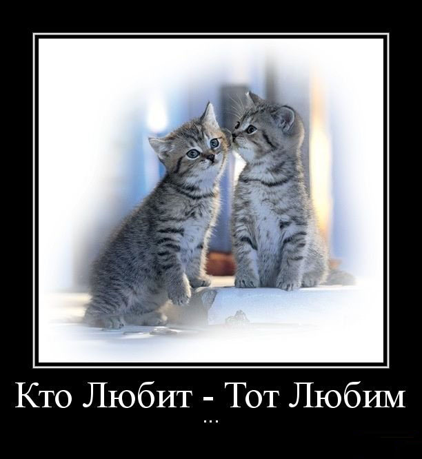 Кто любит-тот любим