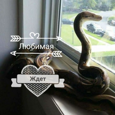 Любимая ждет))))) Любимая ждет)))))