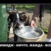 Жажда Жажда