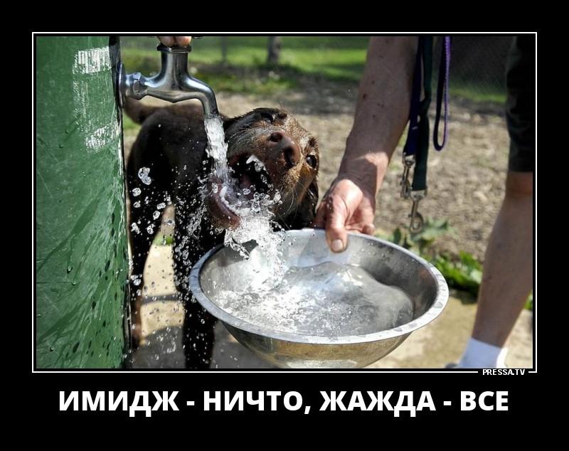 Жажда