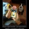 Приложение для снимка питомца