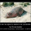 Философ