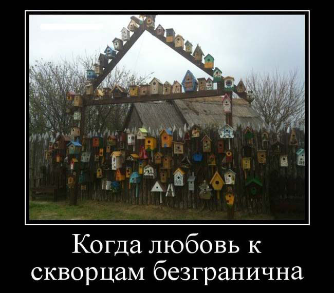 Безграничная любовь