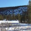 по этой поляне очень люблю летом на велике кататься 