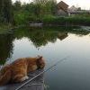 Как я провел лето