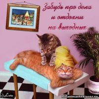 Приятных выходных)))