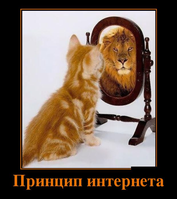 Принцип интернета