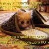 Мелкий пробник