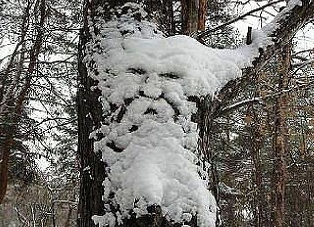 - "Что, .уки не ждали???!!!" )))
