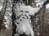 - "Что, .уки не ждали???!!!" )))