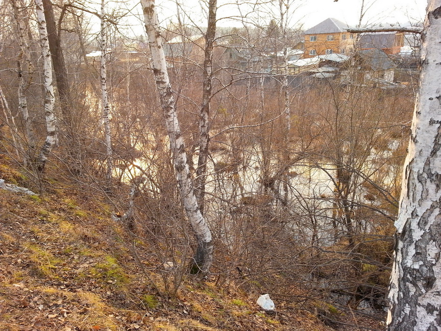 там ... у Расцвета)))))