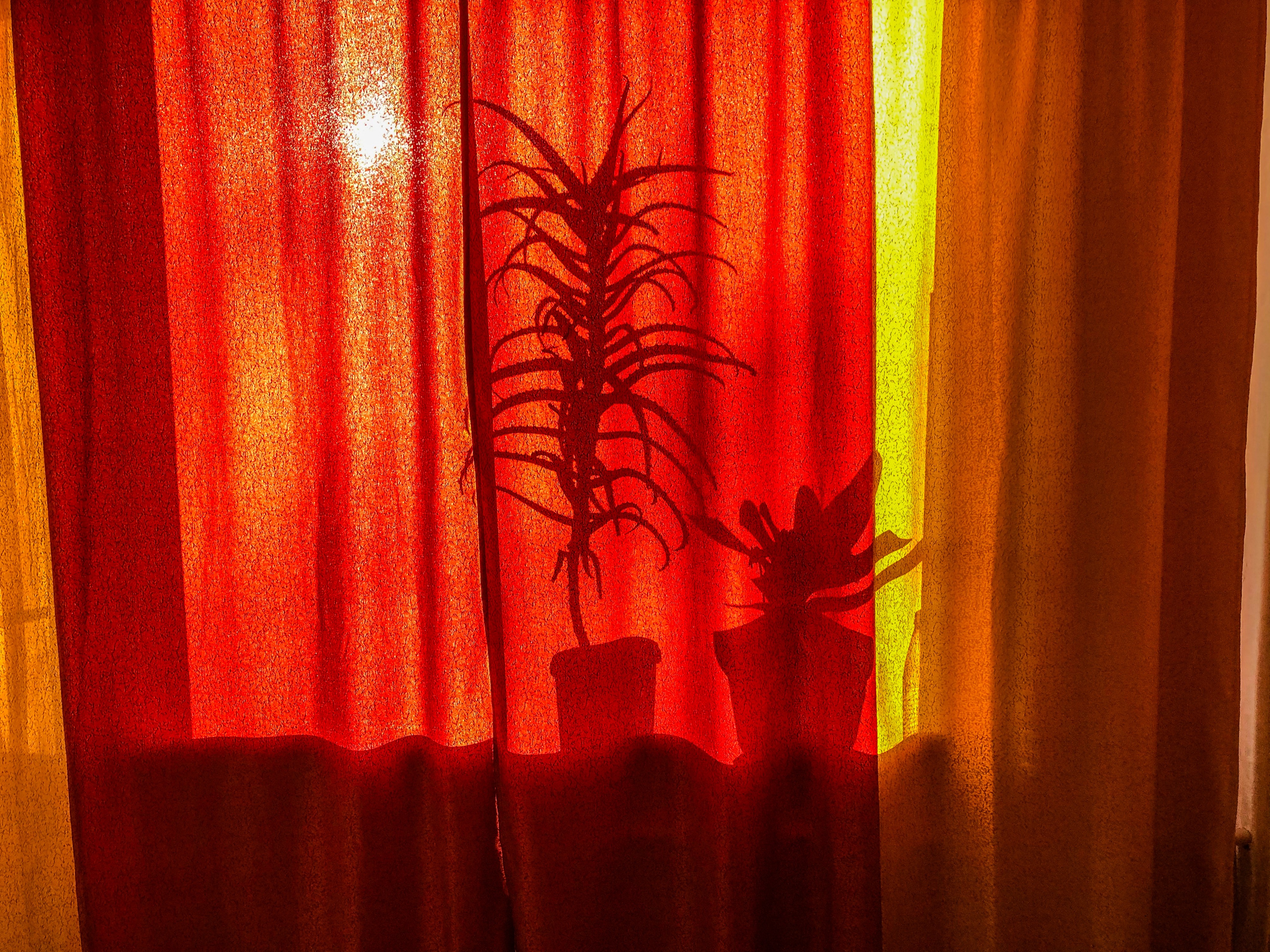 Раз ковбой, два ковбой