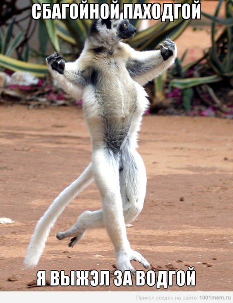 збагойной паходкой йа вышел за водкой)))))
