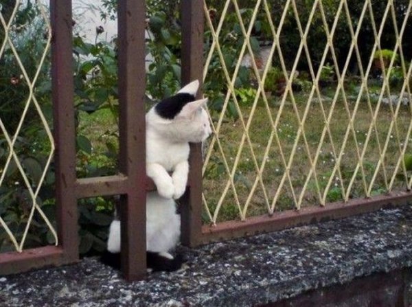 Пока никто не видет