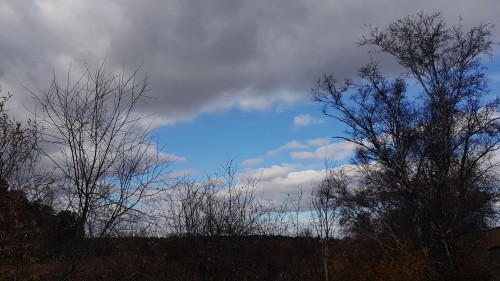 очередные облака))))))