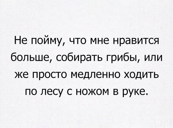 Сбор грибов