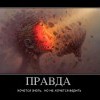 Правда Правда