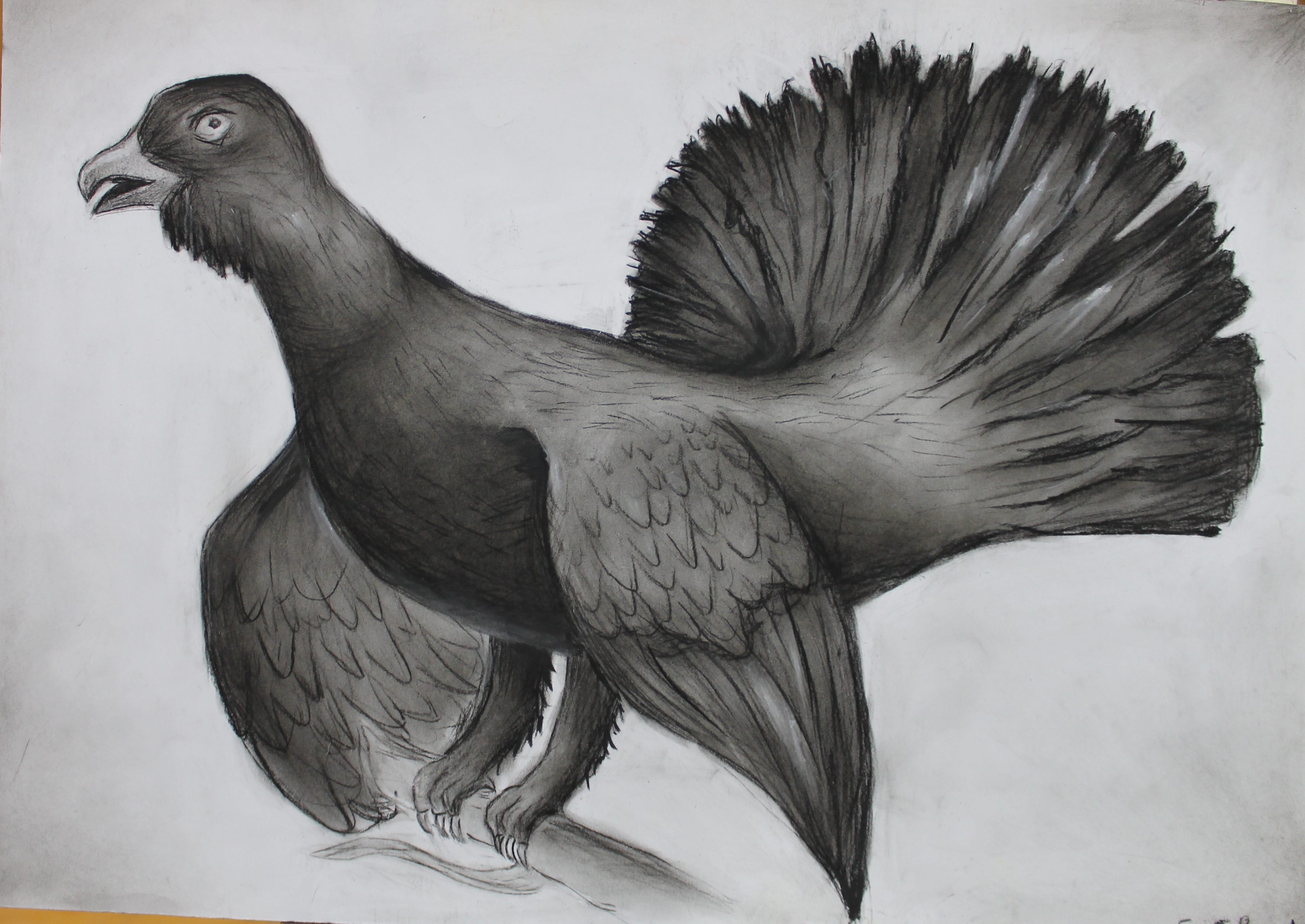 +Бибова Лиза