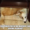 Удобная поза,во время сна