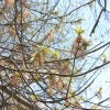 IMG 2484 IMG 2484