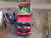 Бисплатная капуста)))))): вчерась копусту роздовали в одном из дваров Ангарска...мол галасуйте за ! и копусты будит нимеряно у вас))))))