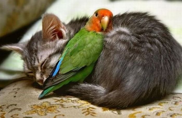 Просто красиво..