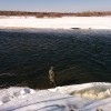 IMG 20140329 161618