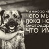 Мы никогда...