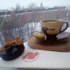 Снежнохоккейное чаепитие. Снежнохоккейное чаепитие.