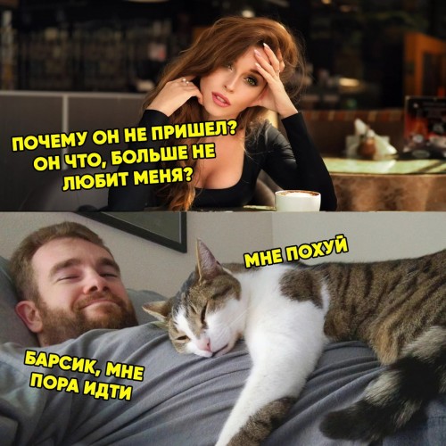 подлый барсег))))) подлый барсег)))))