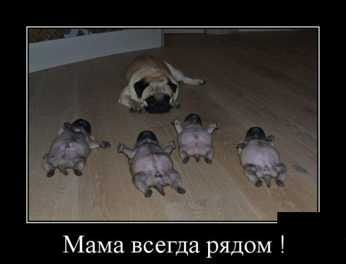 Мама,всегда рядом