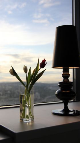 Фото №9 - Немного интерьера