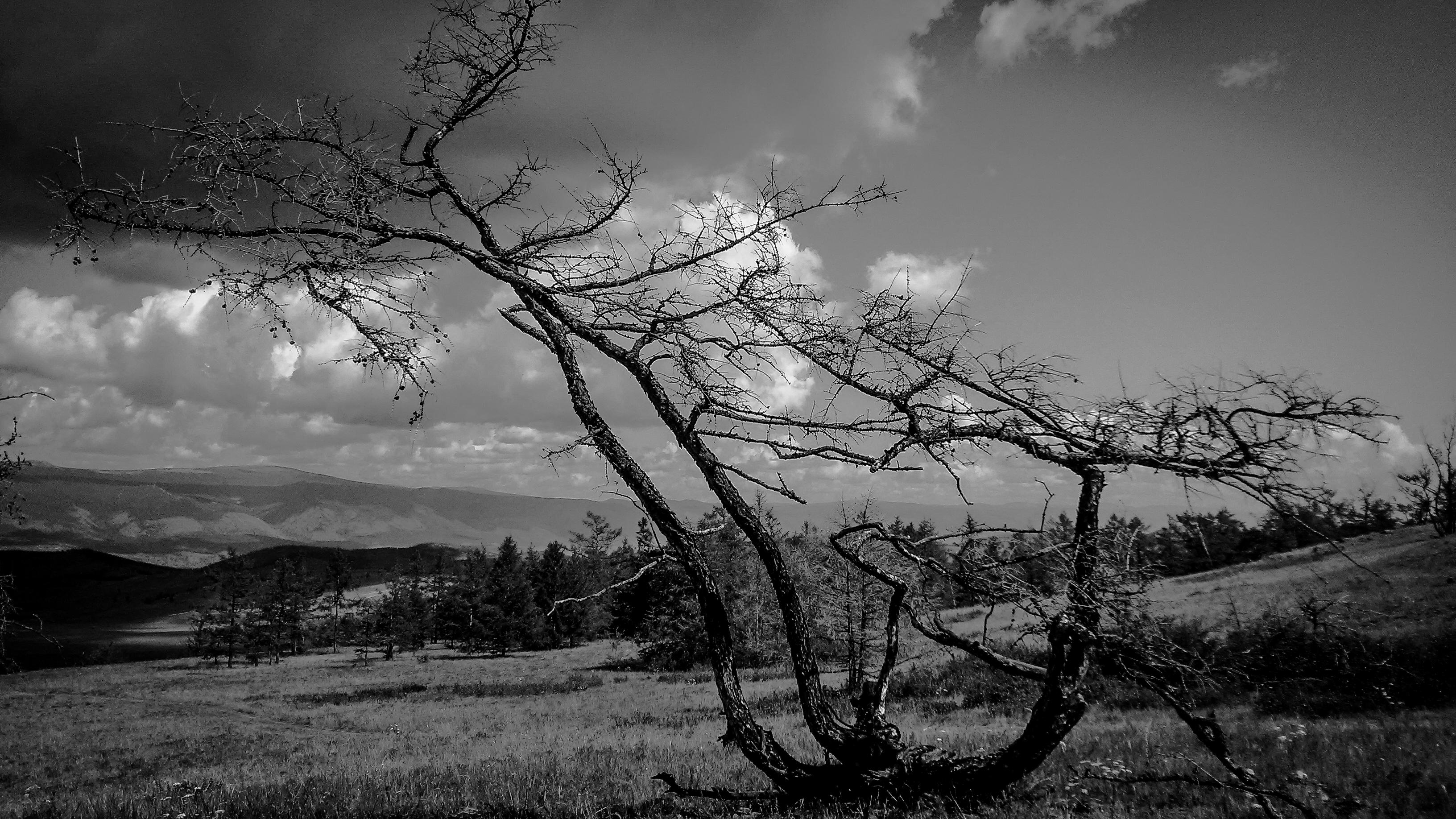 Пенсионная реформа.....