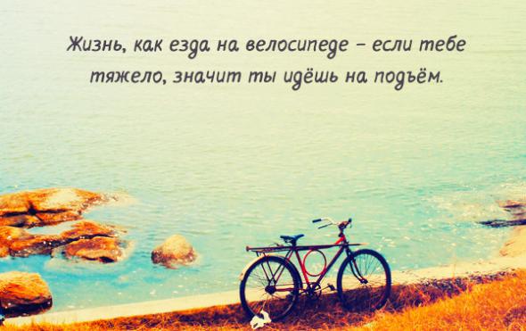 658e082dc6e416117415898aa39 prev