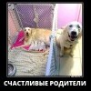Счастливые родители