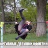 Без названия