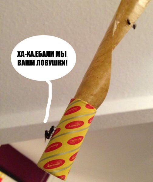 Ха-ха