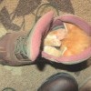 Котэ -уют
