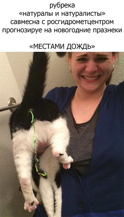 местаме дошьдь))))))