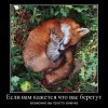Заначка Заначка