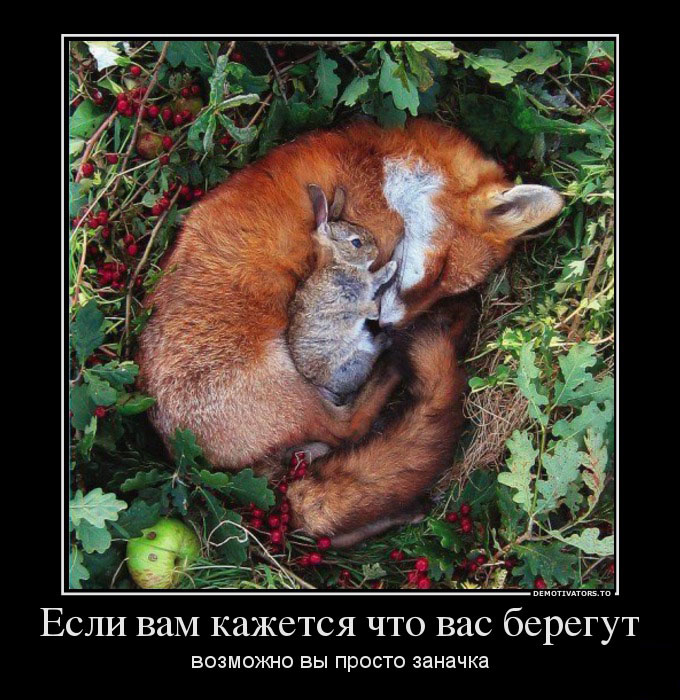 Заначка