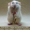 Трубач