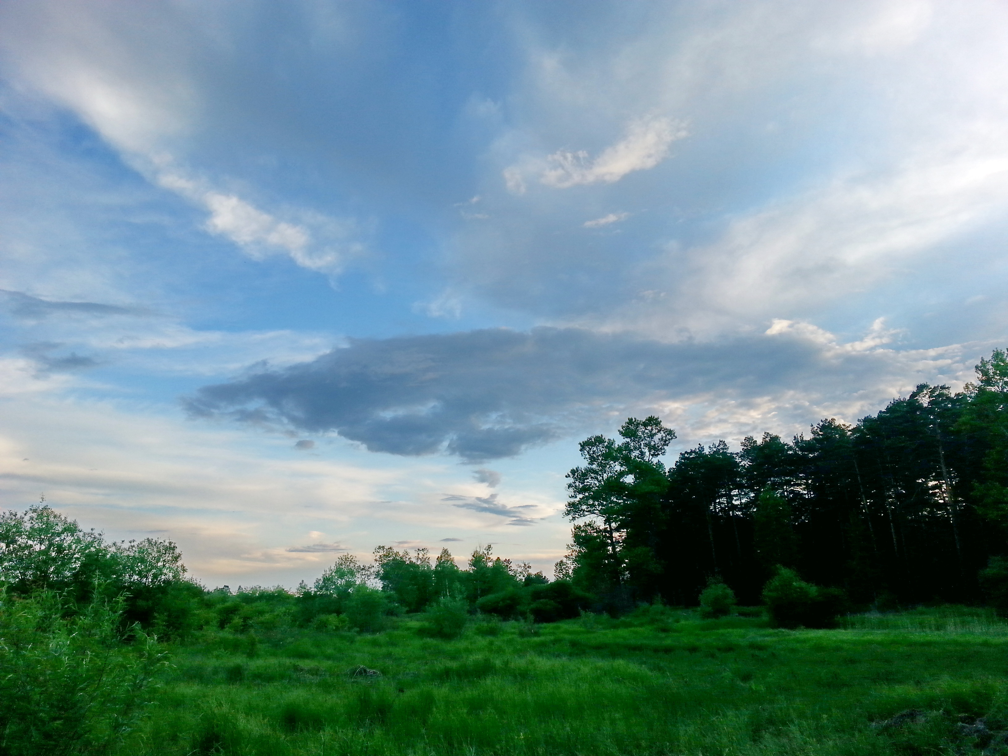 Очередные облака)))))