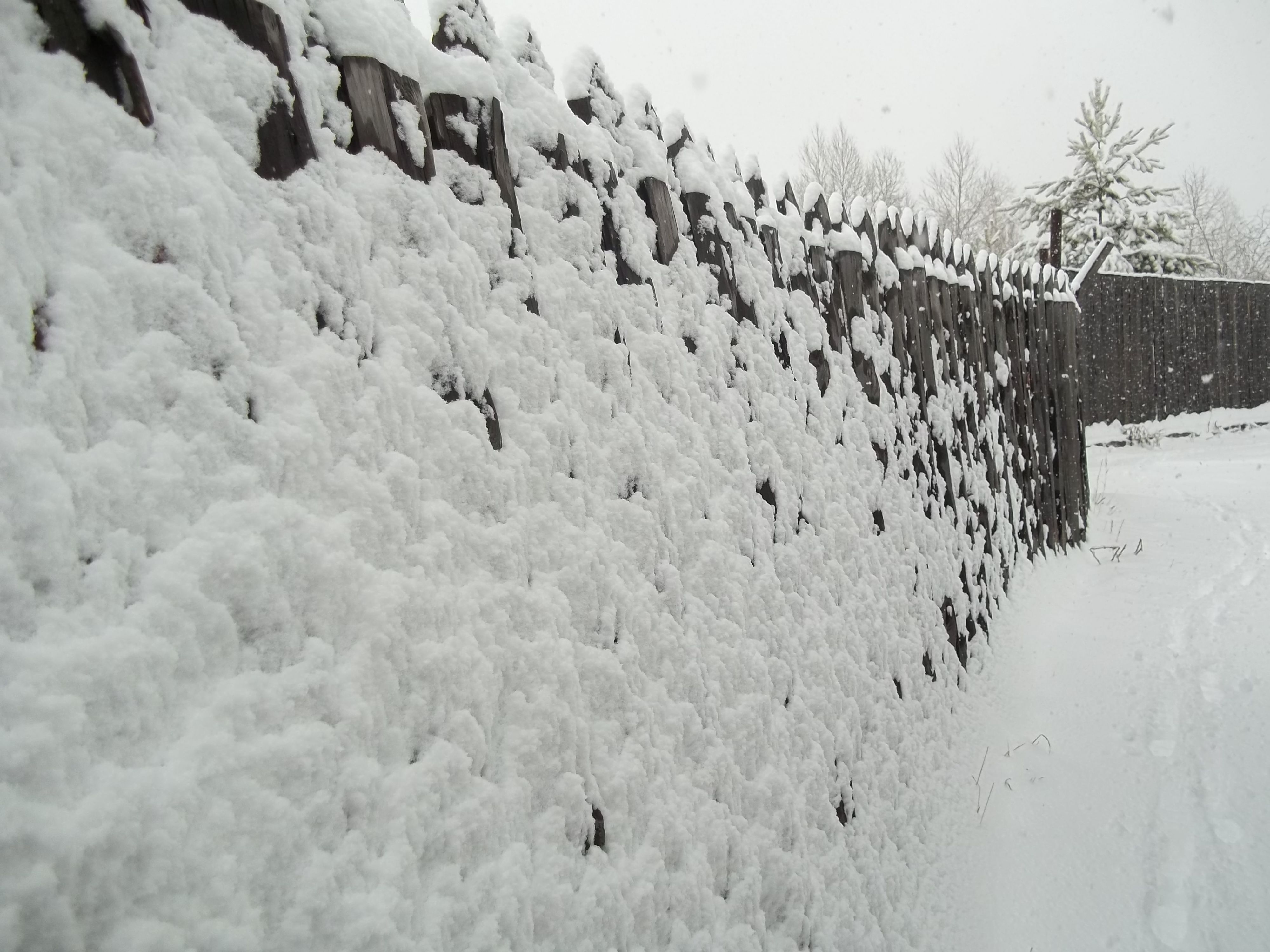 снеговой забор