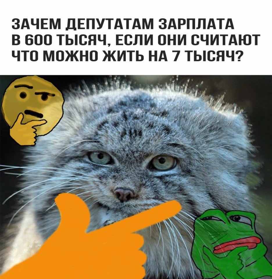 Вопрос